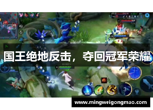 国王绝地反击，夺回冠军荣耀